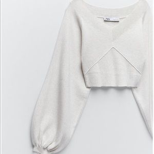ISO looking for this Zara sweater